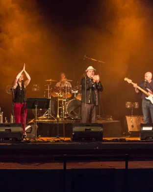 Live concert by Blues is Alright Tour