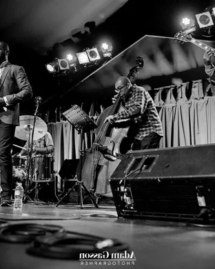 Live concert by The Nighthawks