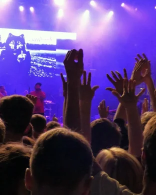 Live concert by Cinema Stereo