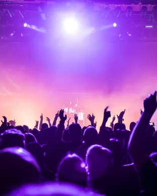 Nik Parr and The Selfless Lovers Tampa