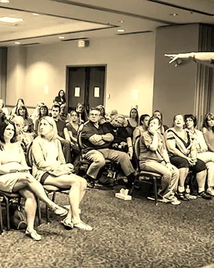 Live concert by Anthony Mrocka