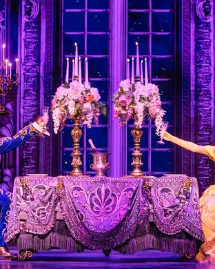 Beauty and The Beast Tampa