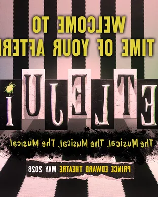 Beetlejuice - The Musical theatre performance