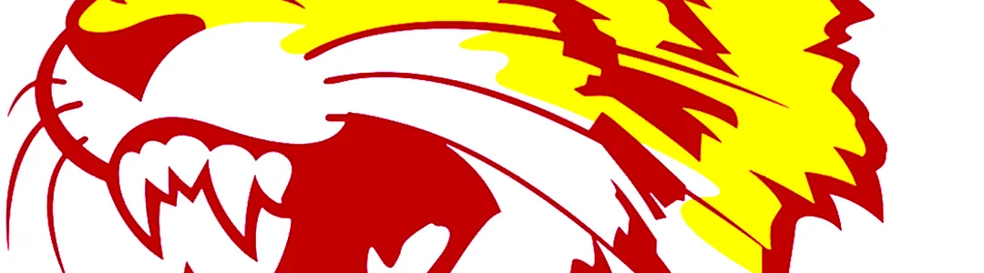 Bethune-Cookman Wildcats Football