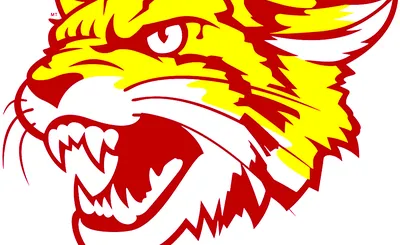 Bethune-Cookman Wildcats Football