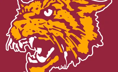 Bethune-Cookman Wildcats