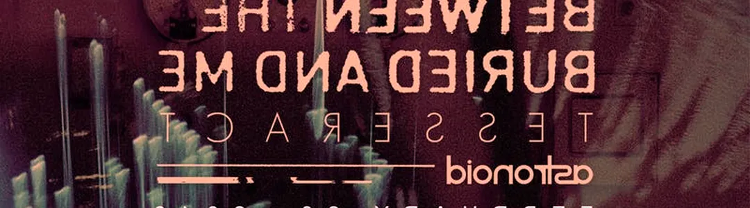 Between The Buried and Me