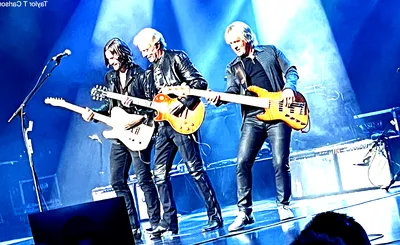 Don Felder
