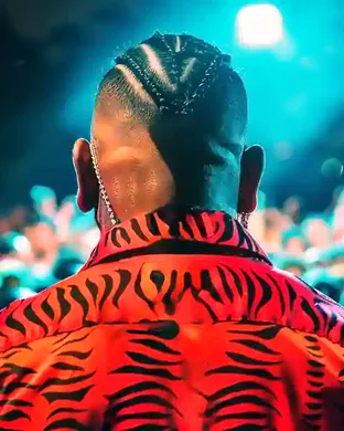Don Omar Tampa