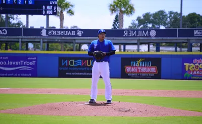 Dunedin Blue Jays