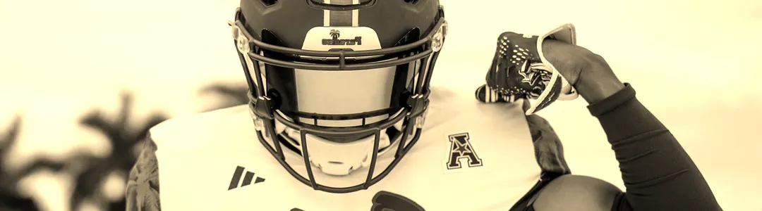 Florida Atlantic Owls