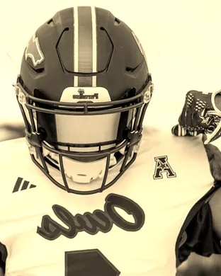 Florida Atlantic Owls