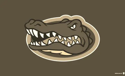 Florida Gators