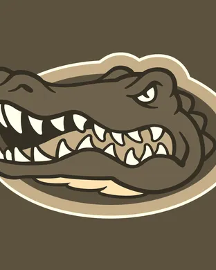 Florida Gators vs. Miami Hurricanes