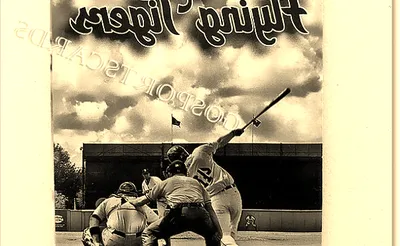 Lakeland Flying Tigers