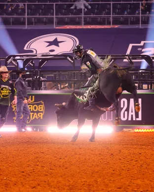 PBR Tampa sports event