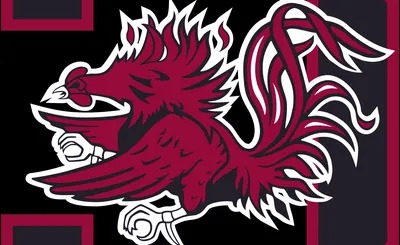 South Carolina Gamecocks