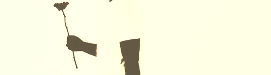 Stop Light Observations