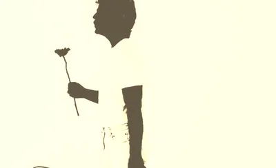 Stop Light Observations