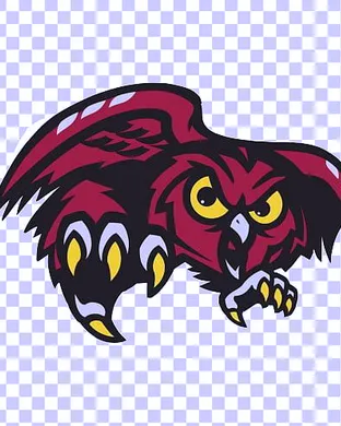 Temple Owls Women's Basketball