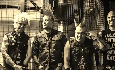 The Casualties
