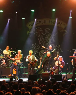The Irish Rovers