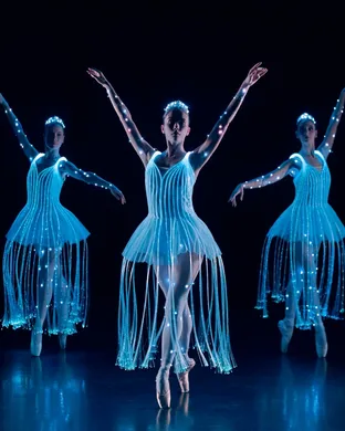 We Call It Ballet: Sleeping Beauty Dance and Light Show Tampa