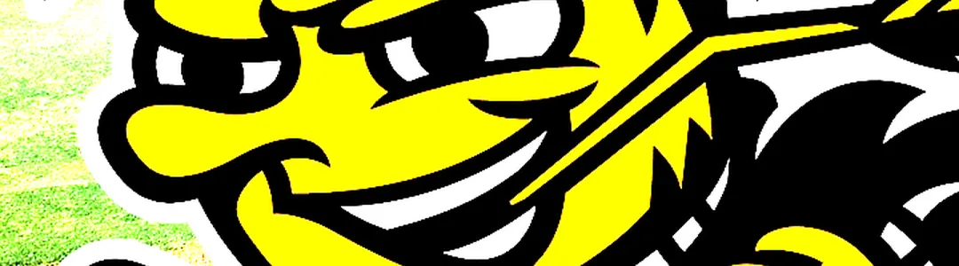 Wichita State Shockers Baseball