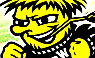 Wichita State Shockers Baseball