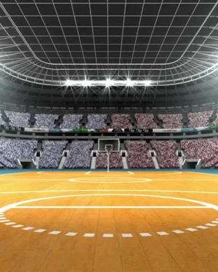 Micro Wrestling Federation