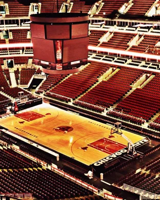 South Florida Bulls Women's Basketball Tampa